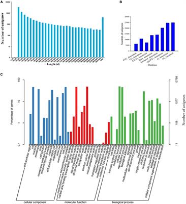 Comparative Transcriptomic and Metabolic Analyses Reveal the Molecular Mechanism of Ovule Development in the Orchid, <mark class="highlighted">Cymbidium sinense</mark>